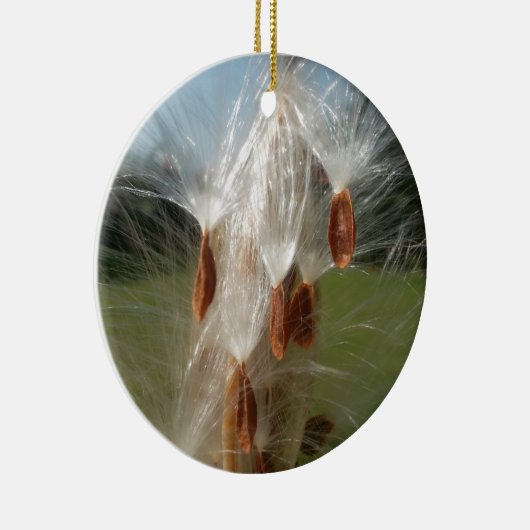 Floating Milkweed Seeds Art Print/Graphic Keramik Ornament (Rechts)
