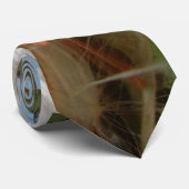 Floating Milkweed Seeds Art Print/Graphic Krawatte (Gerollt)