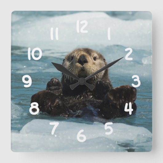 Floating Otter Quadratische Wanduhr (Vorderseite)
