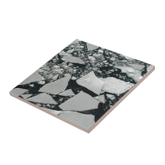 Floating Pieces of Broken Arctic Ice Fliese (Seite)