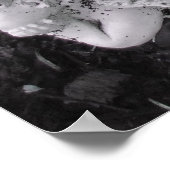 Floating Poster (Ecke)