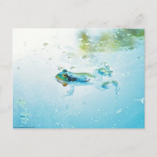 Floating Postkarte (Vorderseite)