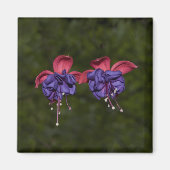 Floating Ribbons Magnet (Vorne)