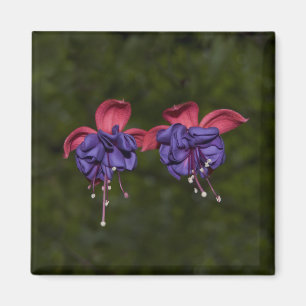 Floating Ribbons Magnet