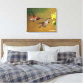 Floating Rufous Hummingbird Leinwanddruck (Insitu (Schlafzimmer))