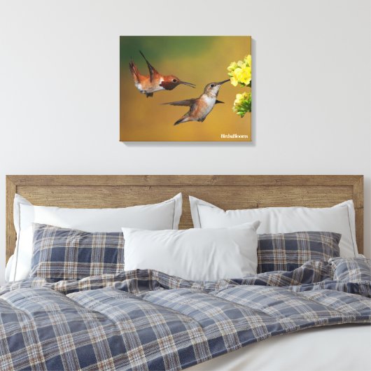 Floating Rufous Hummingbird Leinwanddruck (Insitu (Schlafzimmer))