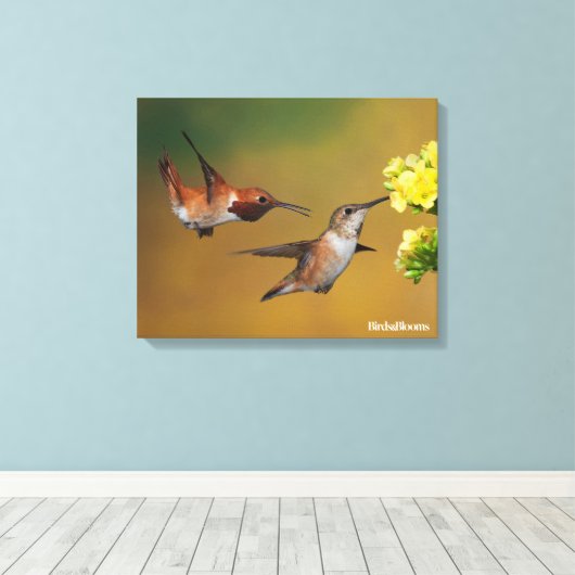 Floating Rufous Hummingbird Leinwanddruck (Insitu (Holzboden))