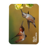 Floating Rufous Hummingbird Magnet (Vertikal)