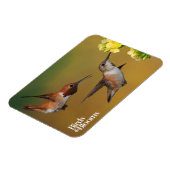 Floating Rufous Hummingbird Magnet (Linke Seite)