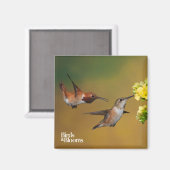 Floating Rufous Hummingbird Magnet (Vorderseite/Rückseite)