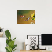Floating Rufous Hummingbird Poster (Heimbüro)