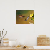 Floating Rufous Hummingbird Poster (Küche)