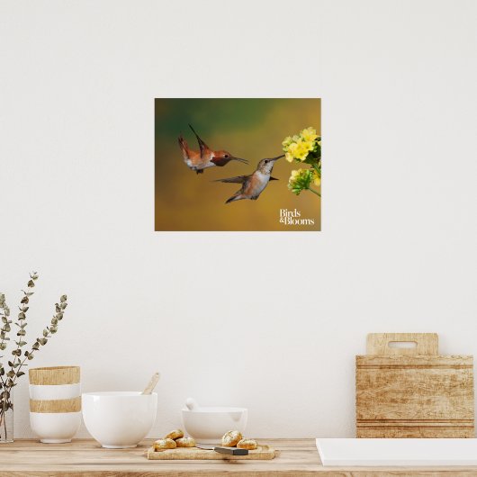 Floating Rufous Hummingbird Poster (Küche)