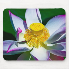 Floating Serenity: The Lotuses of Ninh Binh Mousepad