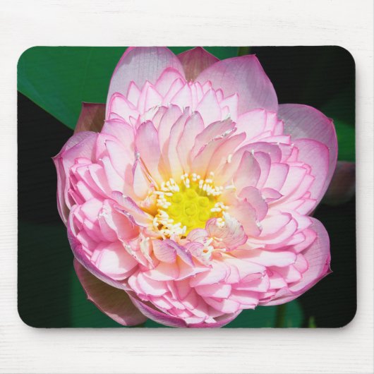 Floating Serenity: The Lotuses of Ninh Binh, Vietn Mousepad (Vorne)