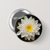 Floating White Wasserlilie Lotus Button (Vorne & Hinten)
