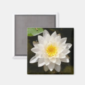 Floating White Wasserlilie Lotus Magnet (Vorderseite/Rückseite)