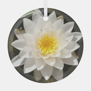 Floating White Wasserlilie Lotus Ornament Aus Glas