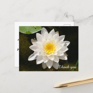 Floating White Wasserlilie Lotus Vielen Dank Postkarte