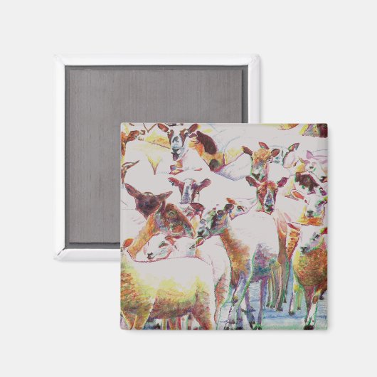 Flock 2011 magnet (Vorderseite/Rückseite)