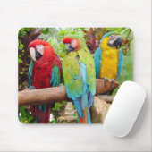 Flock der farbenfrohen Ara Parrots Mousepad (Mit Mouse)