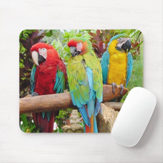 Flock der farbenfrohen Ara Parrots Mousepad (Mit Mouse)