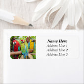 Flock der farbenfrohen Ara Parrots Rücksendeadress (Insitu)