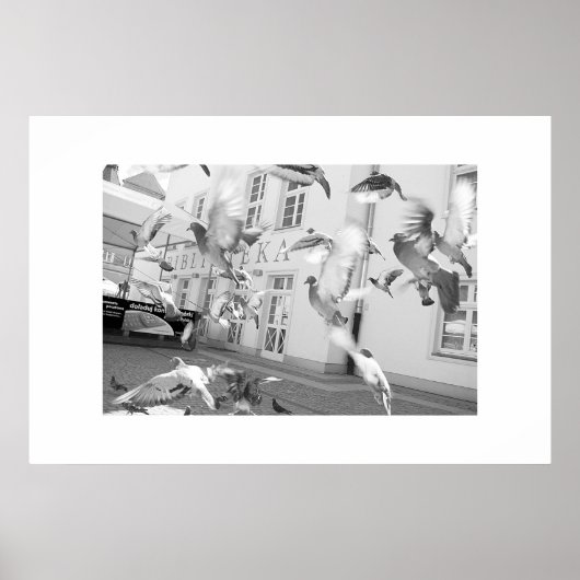 Flock - Gerahmter Druck Poster (Vorne)