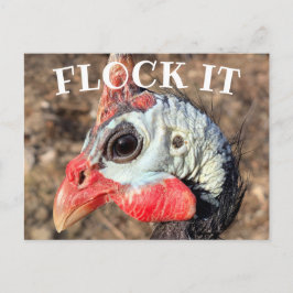 FLOCK IT, Guinea Fohlenhuhn Holzkasten Zeichen Postkarte