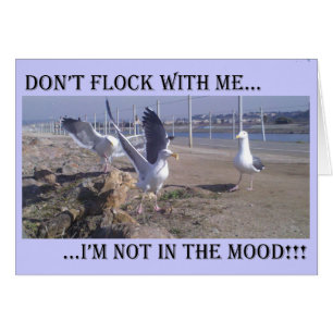 Flock nicht mit mir