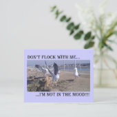 Flock nicht mit mir postkarte (Stehend Vorderseite)