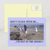 Flock nicht mit mir postkarte (Vorne/Hinten)