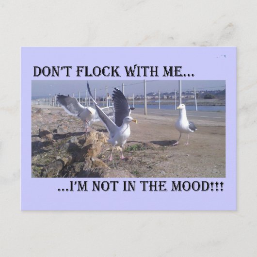 Flock nicht mit mir postkarte (Vorderseite)
