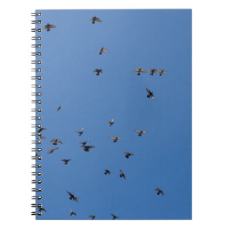 Flock of Birds Flying in Clear Blue Sky with Parag Notizblock