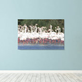 Flock of flamingos wading , Frankreich Leinwanddruck (Insitu (Holzboden))