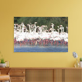 Flock of flamingos wading , Frankreich Leinwanddruck (Insitu (Wohnzimmer))