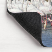 Flock of flamingos wading , Frankreich Mousepad (Ecke)
