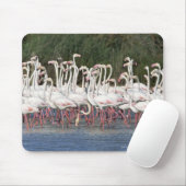 Flock of flamingos wading , Frankreich Mousepad (Mit Mouse)