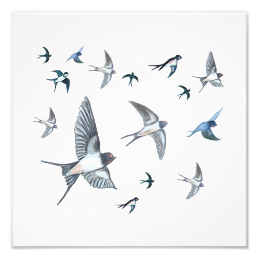 Flock of Fly Swallow Birds Illustration Fotodruck (Vorne)