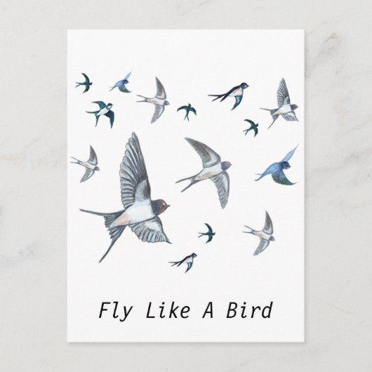 Flock of Fly Swallow Birds Illustration Postkarte (Vorderseite)