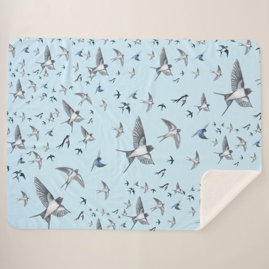 Flock of Fly Swallow Birds Illustration Sherpadecke (Vorderseite (Horizontal))