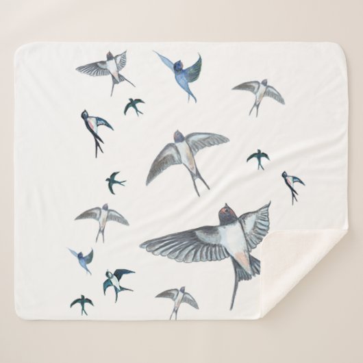 Flock of Fly Swallow Birds Illustration Sherpadecke (Vorderseite (Horizontal))
