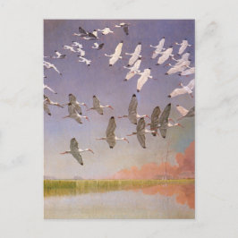 Flock of Ibis Flying Over Wetlands, Vintage Birds Postkarte