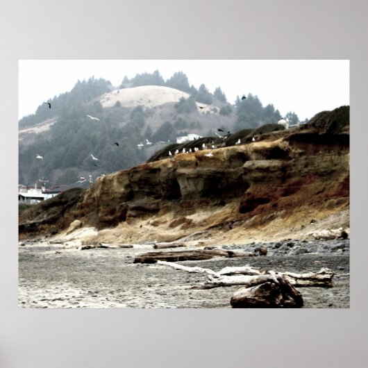 Flock Poster (Vorne)