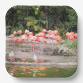 Flock von Flamingoes Paper-Tellern Pappteller (Vorderseite)