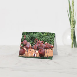Flock von rosa Flamingos auf Leerzeichen