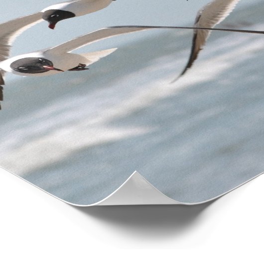 Flock von Seagulls am Meer Poster (Ecke)