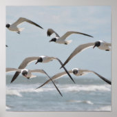 Flock von Seagulls am Meer Poster (Vorne)