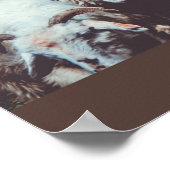 Flock von weißen und schwarzen Schafen Poster (Ecke)