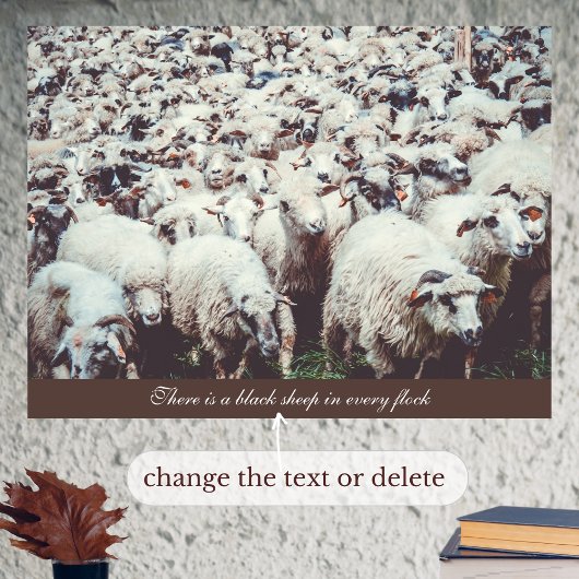 Flock von weißen und schwarzen Schafen Poster